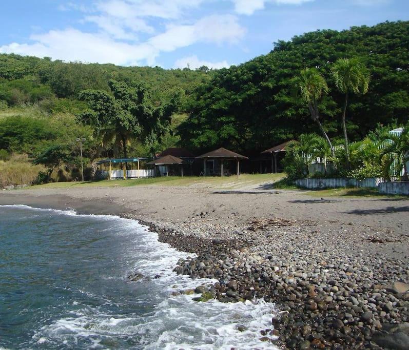 Maison La Voute Plage A 50M Et Riviere A Proximite Vieux-Habitants Exterior foto